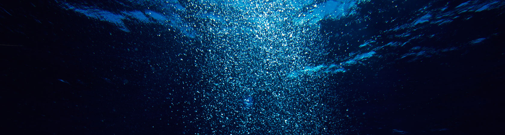 当相談所について